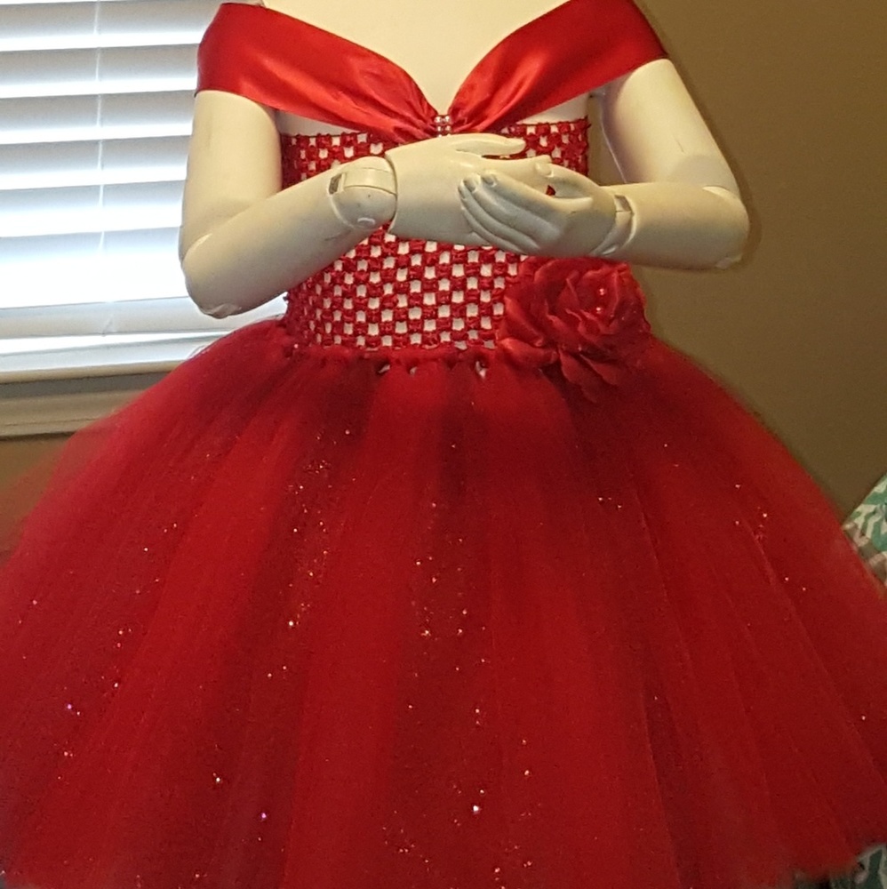 Birthday,Valentine, flowergirl,Princess tutu dress